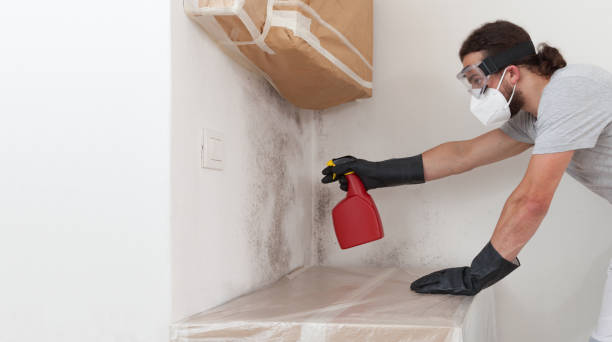 Professional Mold Cleanup technician working in Copiague, NY